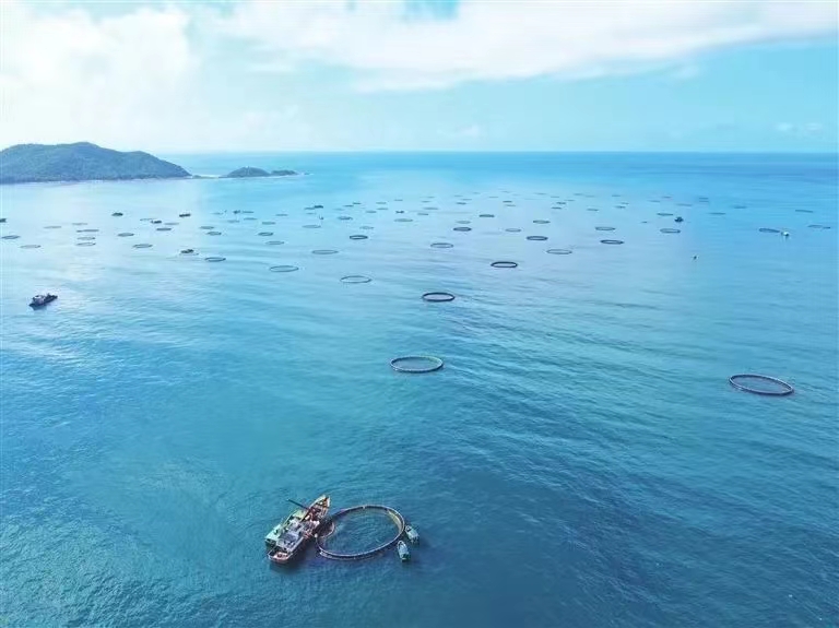 再攀新高！三亞農投海洋產(chǎn)業(yè)有限公司成功入選海南省專(zhuān)精特新企業(yè)